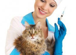 Autors: maziedraugi.lv 