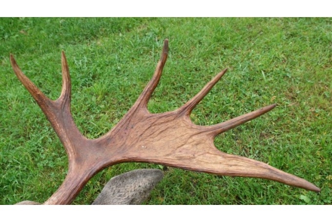 Autors: dzirkstele.diena.lv