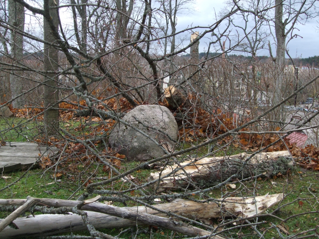 Autors: Biruta Kritnere