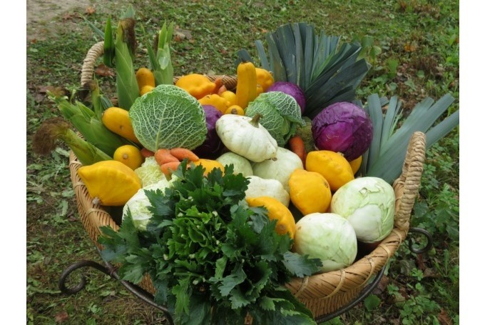 Autors: staburags.diena.lv