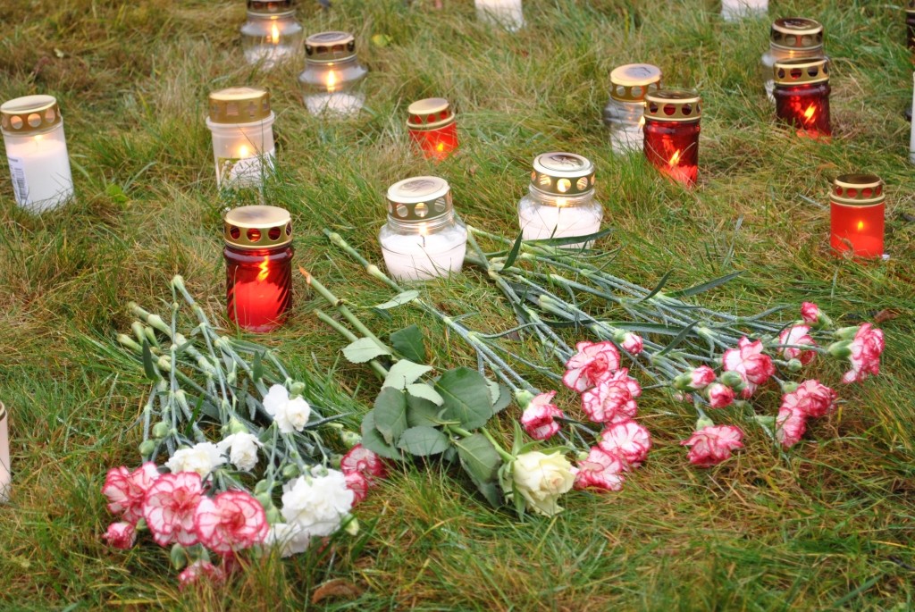 Autors: Sarmīte Ozola