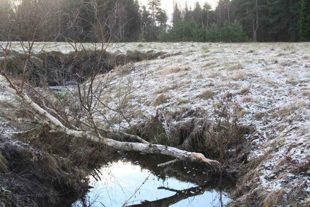 Autors: Aivars Zilbers