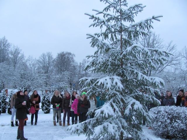 Autors: valkasgimnazija.lv