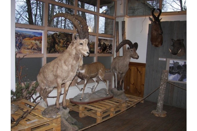 Attēlam ir tikai ilustrējoša nozīme!
Autors: Sarmīte Ozola