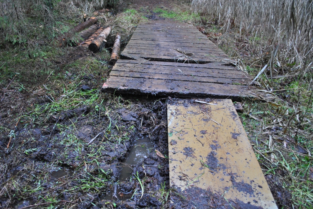 Akciju sabiedrības “Latvijas valsts meži” Austrumvidzemes mežsaimniecība aicina autovadītājus  saudzēt citu darbu un  nedoties ar mašīnu pa velotakām. Šajā gadījumā, lai automašīna tiktu pāri laipai, ir sabojāts tās dēlis, strauta mala un ceļa vieta, un no baļķiem sameistarota atbalsta laipa otram mašīnas ritenim.
Autors: SANDRA PĒTRESONE