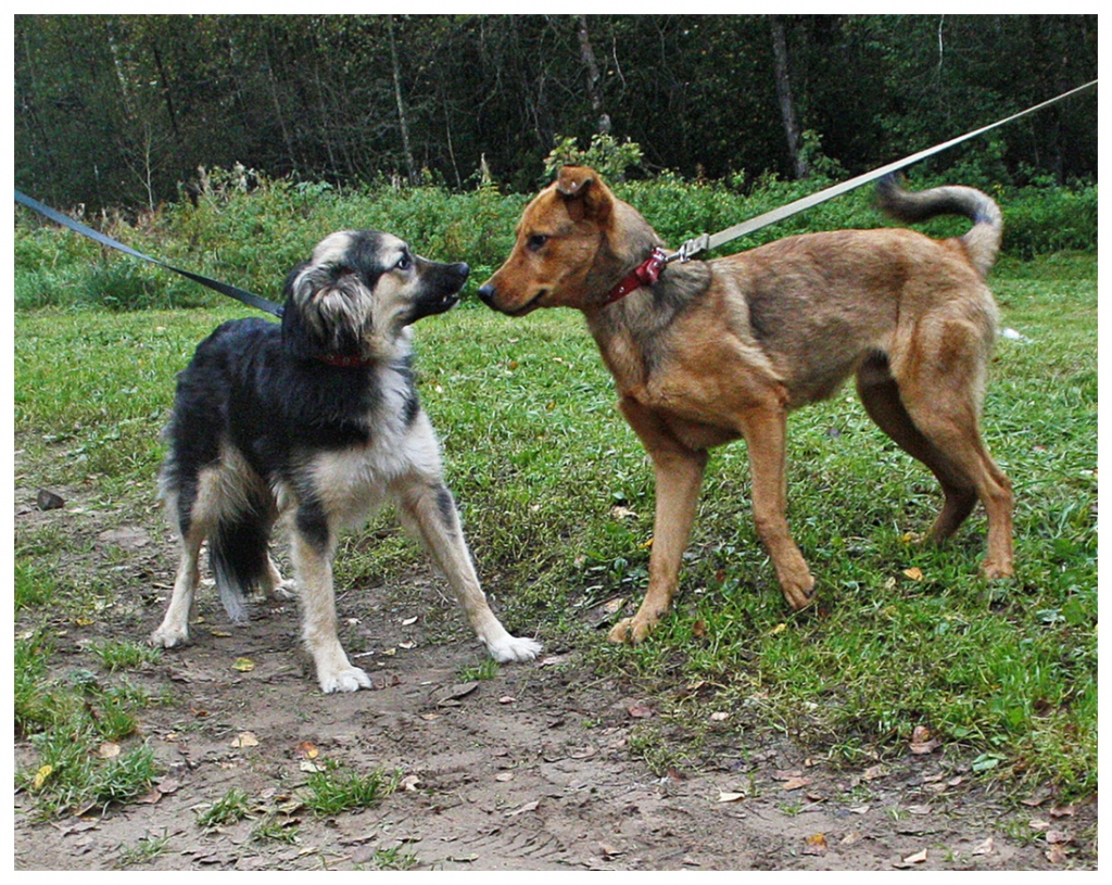 Autors: Zanda Bērziņa