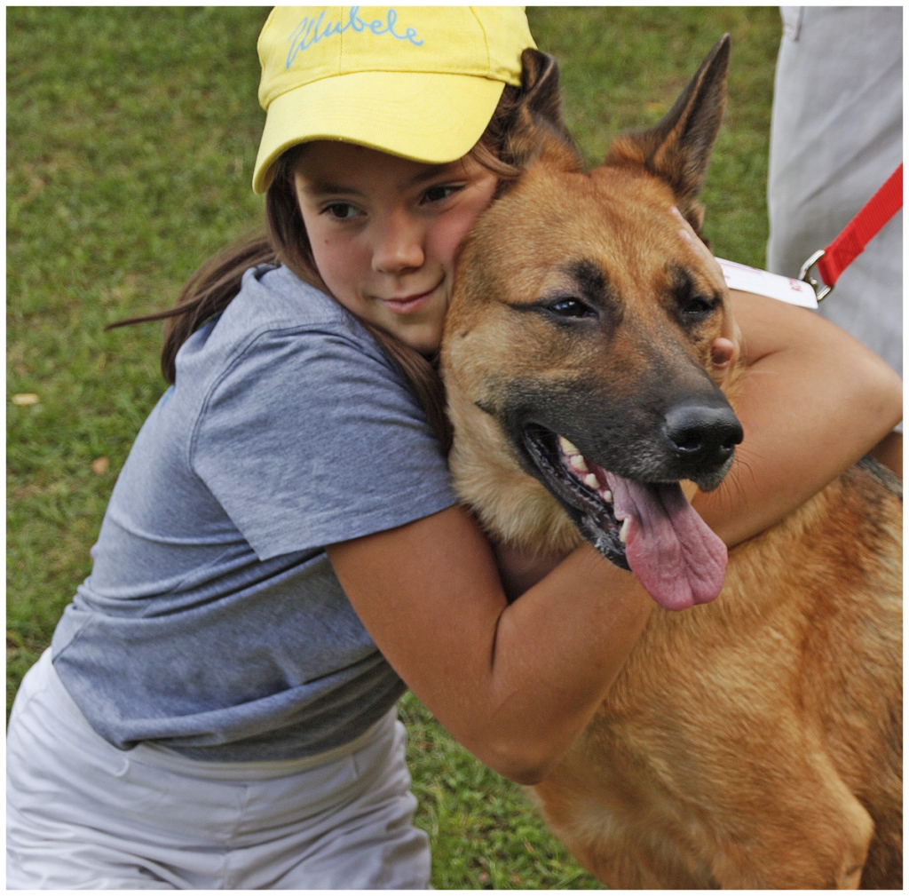 Lote - Austrumeiropas aitu suns, 6 gadus veca. 
Ulubelē nonāca 3 gadu vecumā, kad Mežparkā Dziesmu svētku alejā bija nostāvējusi piesieta pie koka 2 nedēļas. 
Tagad viņa ir Gerdas vismīļākais suns.
Autors: Zanda Bērziņa