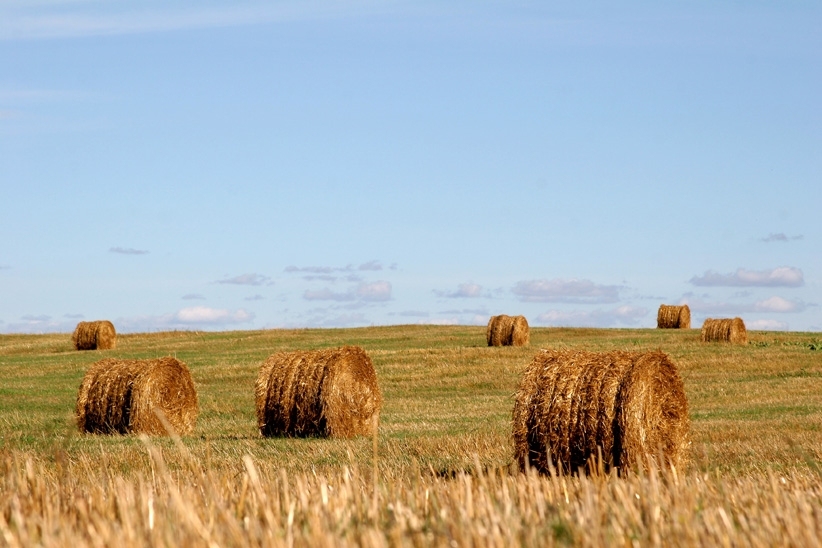 Autors: rezeknesnovads.lv