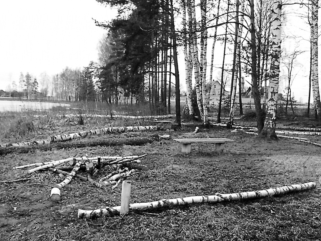 Bilskas ezermalā apzināti vairāki nozāģēti koki, lai siltajā laikā varētu paplašināt pludmali.                                                            
Autors: ZIEMEĻLATVIJAS LASĪTĀJA FOTO