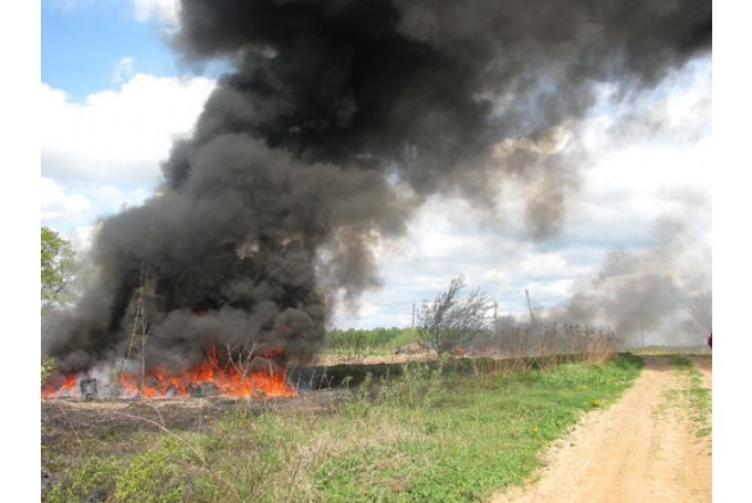 Tas nozīmē, ka šajās divās nedēļās novadā ļaudis varēs savos īpašumos dedzināt sausās lapas un zarus. Aizliegums joprojām  attieksies uz sadzīves un cita veida atkritumu dedzināšanu.
Autors: bauskasdzive.lv