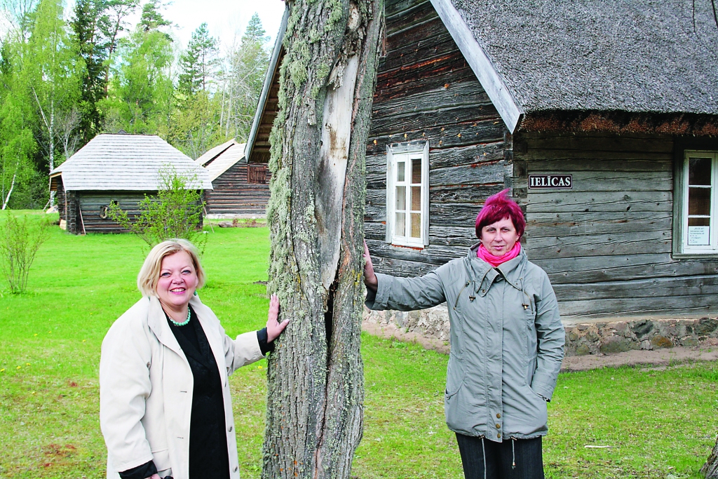Vijciema pagasta pārvaldniece Mārīte Kalniņa (no labās) un kultūras dzīves organizatore Vita Bērziņa pārliecinās, ka “Ielīcu” sēta ir gatava viesu uzņemšanai un ir pateicīgas māju saimniekam Ēvaldam Platniekam par ieguldīto darbu.                                                                                                   
Autors:  ALDIS DUBĻĀNS