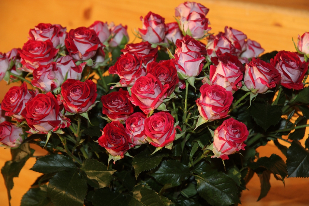 Autors: Valdis Paeglis