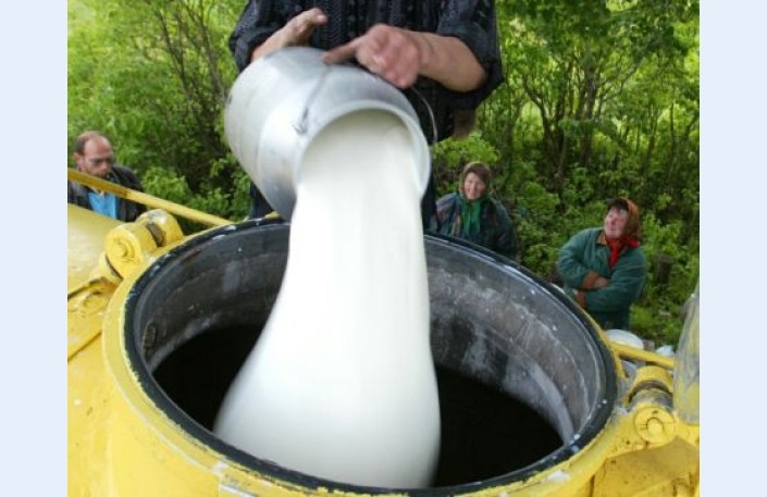 Autors: Raitis Zariņš DIENA