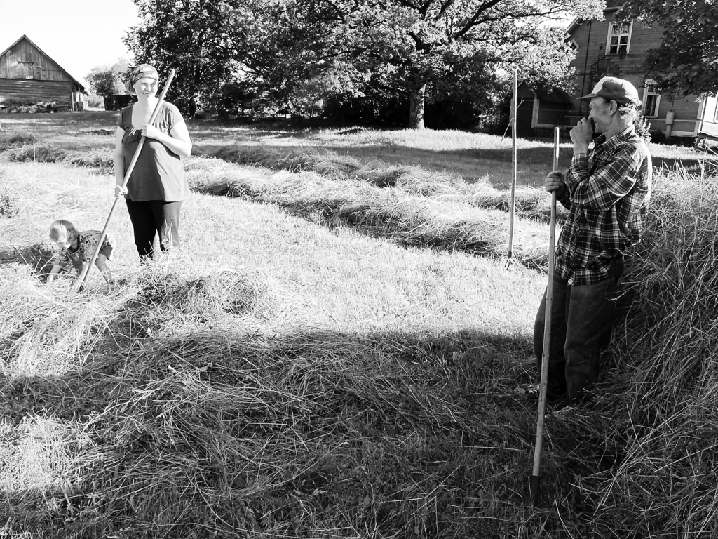 Siena laikā “Dūmos” nav laika sēdēt, jo viss nepieciešamais siens jāsagatavo ar rokām.
Autors: AIVARS ZILBERS