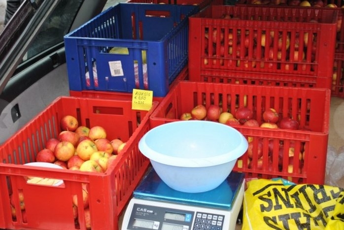 Aluksniesiem.lv raksta attēla aizvietotājs