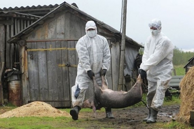 Autors: Flickr.com/puaro.lv