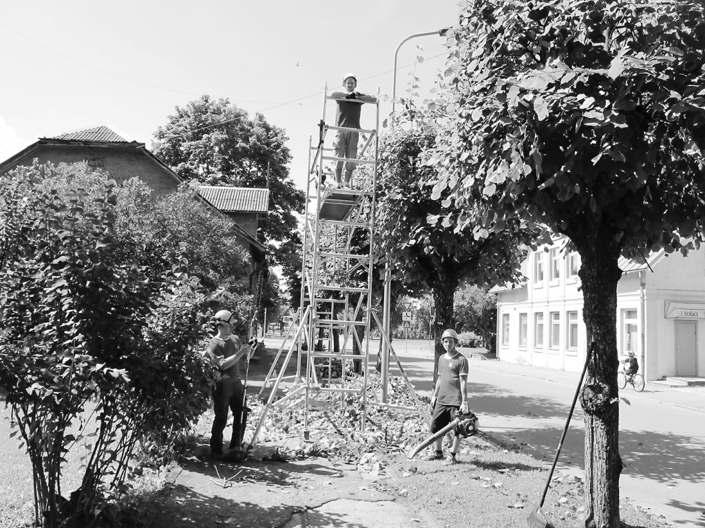 Arboristi Mārtiņš Pilskalns (no kreisās), Jānis Milts un Edgars Zemmers cenšas panākt, lai visa ielas posma garumā koku vainags veidotu simetrisku taisnstūra formu noteiktā augstumā.  
Autors: ALDIS DUBĻĀNS
