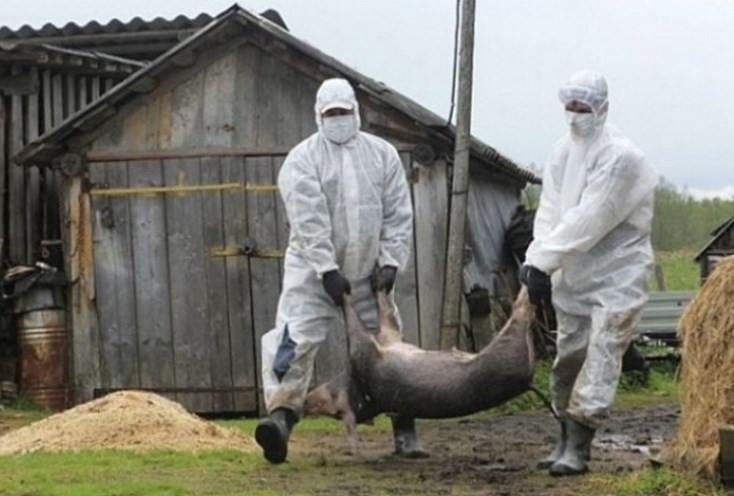 Autors:  Flickr.com/puaro.lv