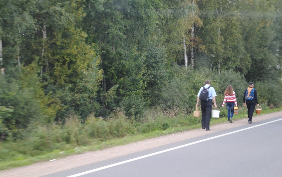 Autors: Sarmīte Ozola