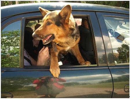 Dodoties uz Mājām…