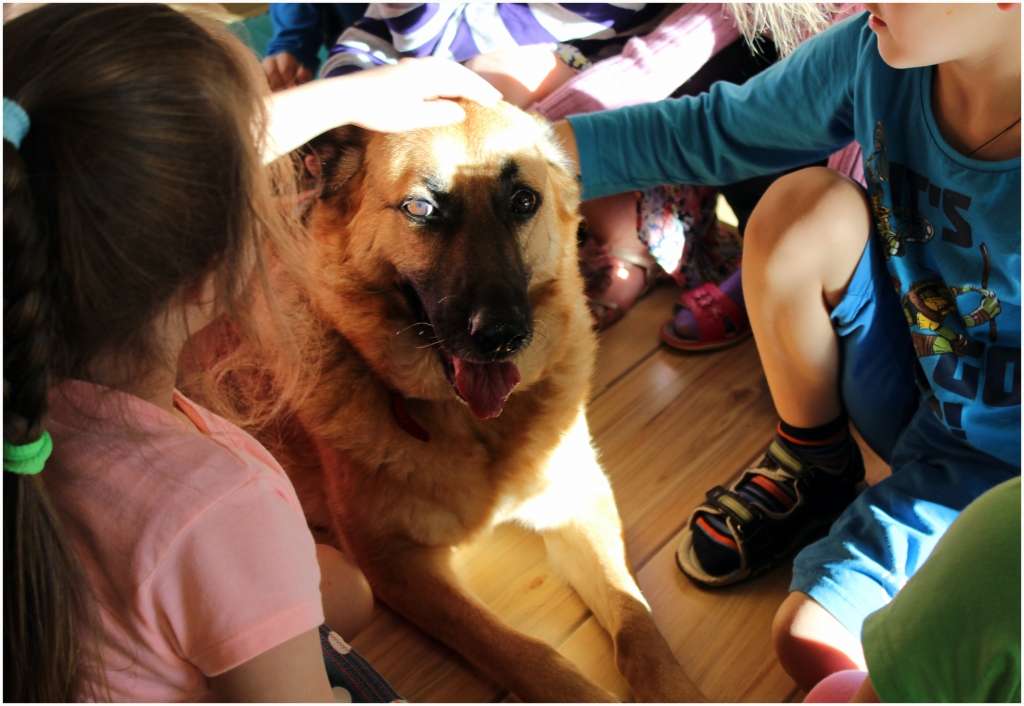  Viesošanās Smiltenes „Pīlādzītī”. 
Autors: Zanda Bērziņa