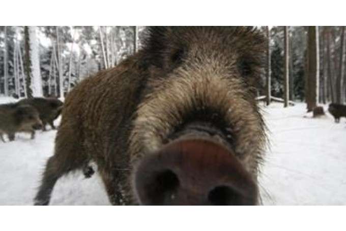 Autors: dzirkstele.diena.lv