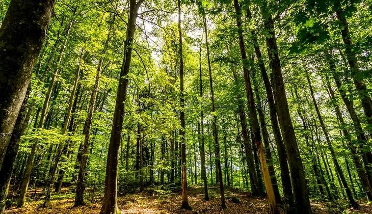 Autors: www.mk.gov.lv