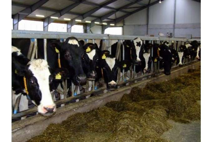 Autors: staburags.diena.lv