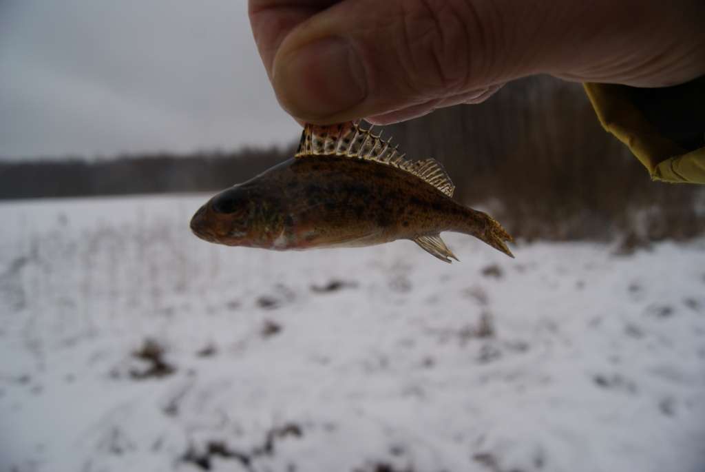 Autors: no Kārķu pagasta arhīva