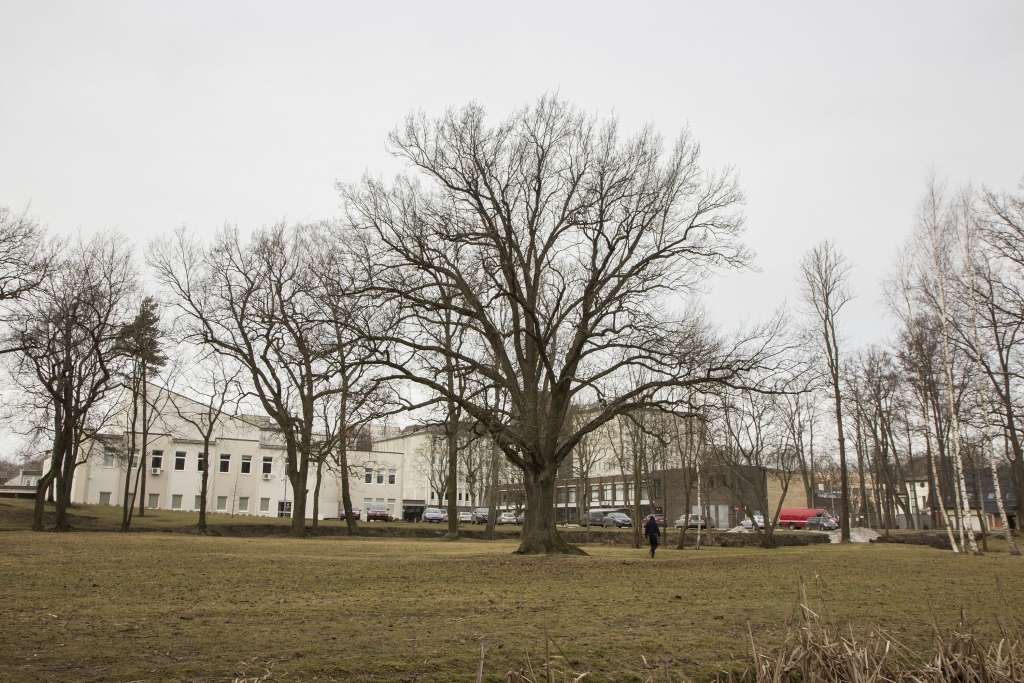 Aluksniesiem.lv raksta attēla aizvietotājs