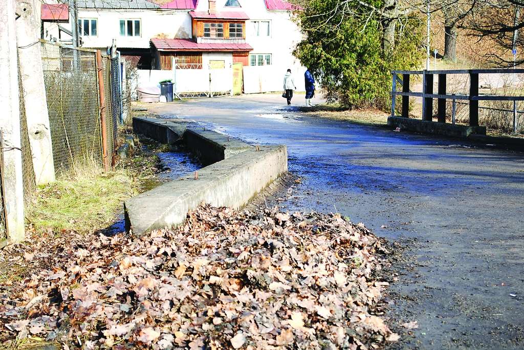 Beidzot Smiltenē pie Vidusezera vairs neizskatās kā izgāztuvē. Reaģējot uz policijas brīdinājumu, zemes privātīpašnieks aizvadītajā nedēļā savāca un aizveda sadzīves atkritumus, bet savu kārtu vēl gaidīja kaudzē sagrābtās lapas, kas arī vēlāk tika aizvestas.                              
Autors:  SANDRA PĒTERSONE
