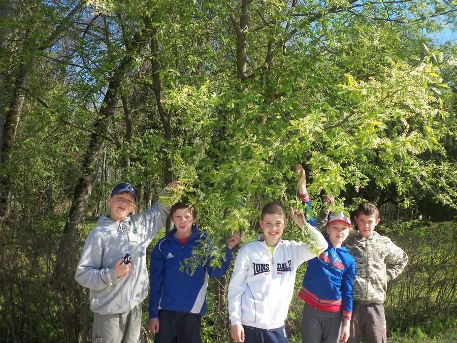 Aluksniesiem.lv raksta attēla aizvietotājs