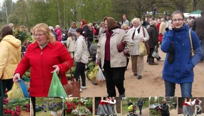 Autors: Sarmīte Ozola