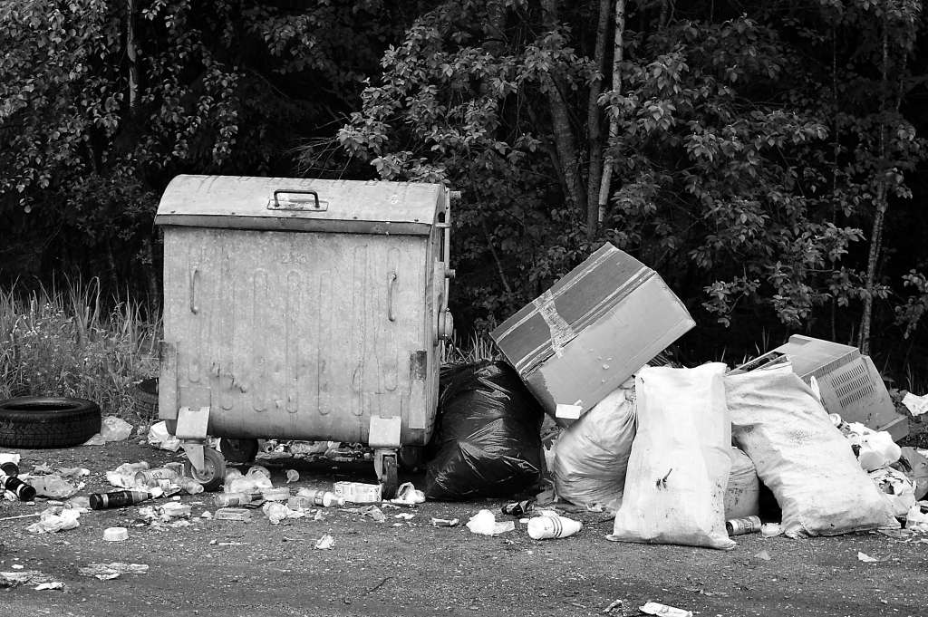 Iespaidu par viesmīlīgo Smilteni un tās skaisto dabu, par ko vēsta informatīvs plakāts stāvlaukumā Vidzemes šosejas malā pie Mežciema (Launkalnes pagastā), sabojā daļas iedzīvotāju regulāri piedrazotā stāvlaukuma teritorija. Ilgi sakopta šī vieta nepaliek.                                                                                                                                                                                  
Autors:  SANDRA PĒTERSONE