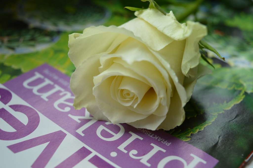 Variņu pagasta vēstures izzinātāja un aktīva 