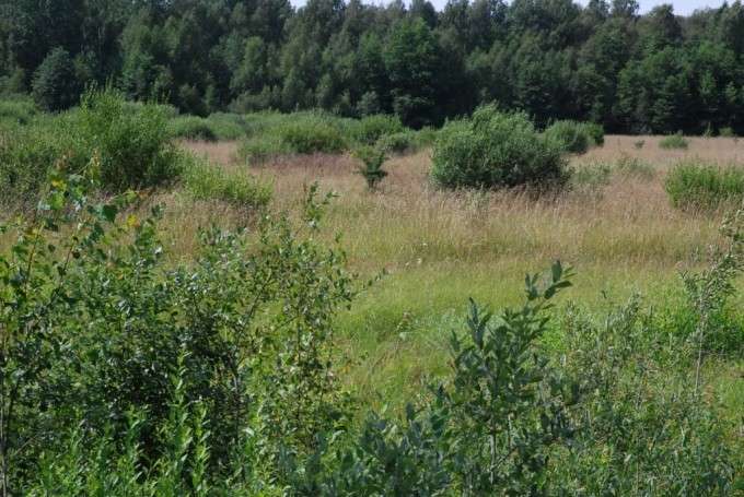 Autors: rekurzeme.lv