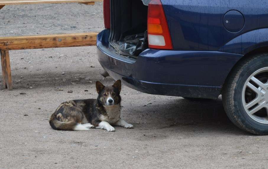 Autors: Sarmīte Ozola