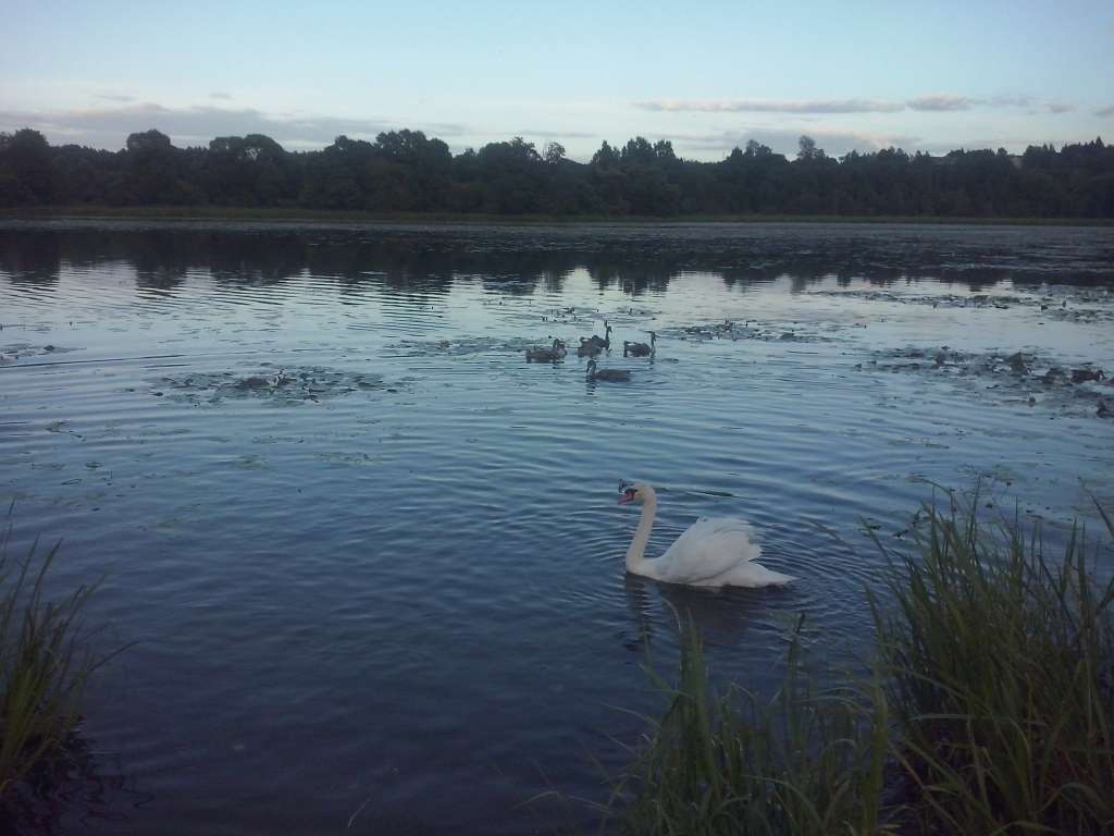 Aluksniesiem.lv raksta attēla aizvietotājs