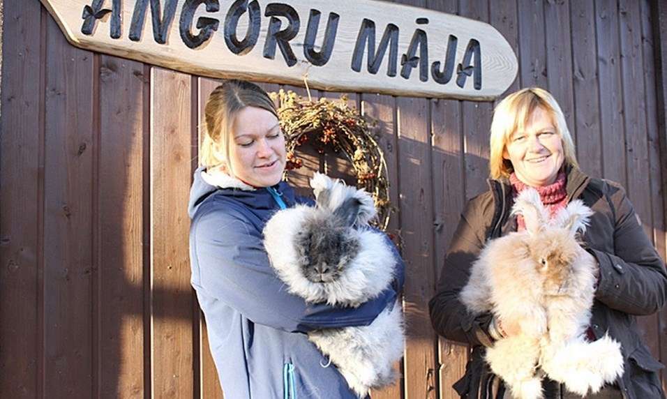 Autors: Inguna Valdmane/draugiem.lv