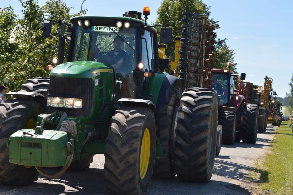 Autors: SANDRA PĒTERSONE