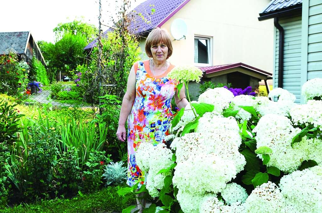 Inta Markova domā, ka hortenzijai patikusi tai izvēlētā vieta, tādēļ arī tā zied tik kupliem ziediem. 

Autors:  AIVARS ZILBERS