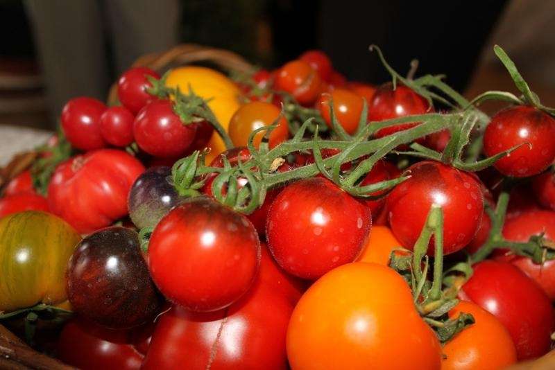 Autors: PUBLICITĀTES