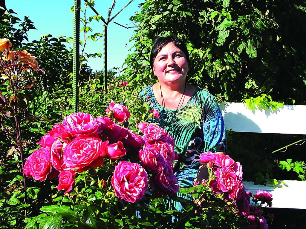 Sniedzi Ragži droši var saukt par rožu karalieni, jo viņa aprūpē vairāk nekā 600 stādu.                                                                                      
Autors:  ALDIS DUBĻĀNS