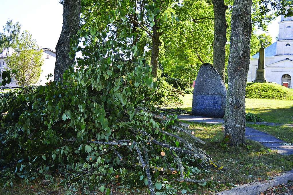 Palsmanē šovasar arboristi sakopuši koku vainagus gan piemiņas vietā (attēlā), gan muižas parkā, atsedzot ainavu un ļaujot tur vairāk iespīdēt saules gaismai. Zarus plānots aizvest šīs nedēļas laikā.           
Autors:  SANDRA PĒTERSONE