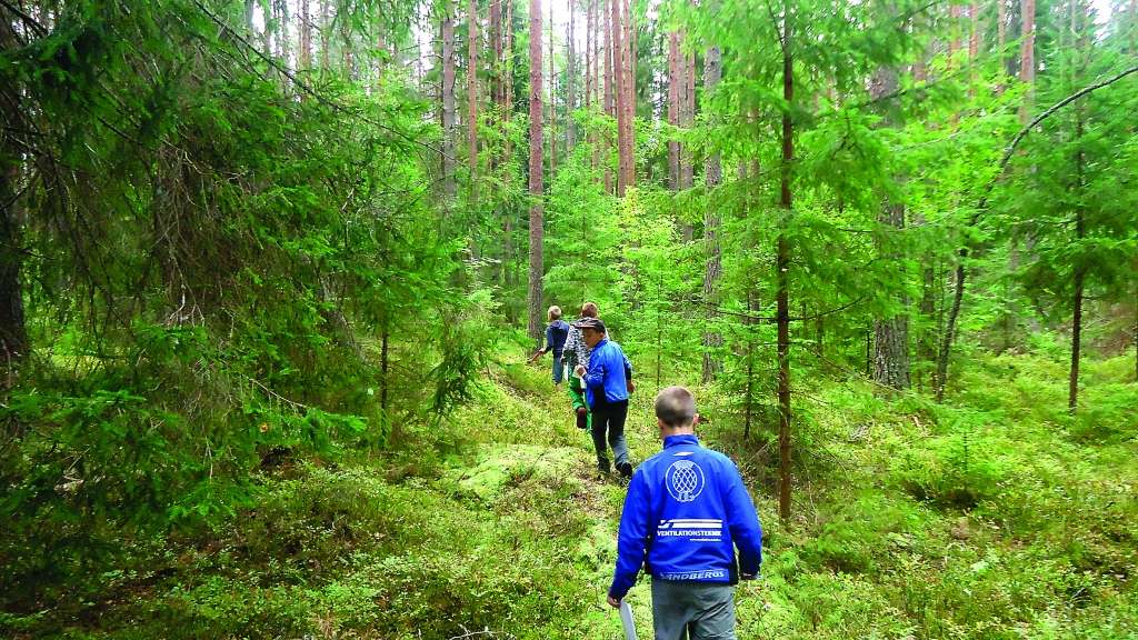 Nometnes “Dziļāk mežā!” laikā bērni tuvāk iepazina dabā noritošos procesus.                                                                                                     
Autors:   IVETA ĀBRAMA