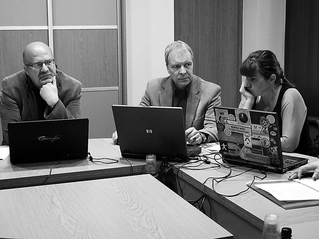 Valkas novada deputātu Agri Simuli (vidū), kurš uzskata, ka novadā saimnieciskie jautājumi jārisina vispirms, par projekta “Robežu jaunās gaismas un krāsas” lietderību izdevās pārliecināt pārējiem kolēģiem – Ventam Armandam Krauklim un Kristīnei Simonovai.                                                                                                                           
Autors:   INGA KARPOVA