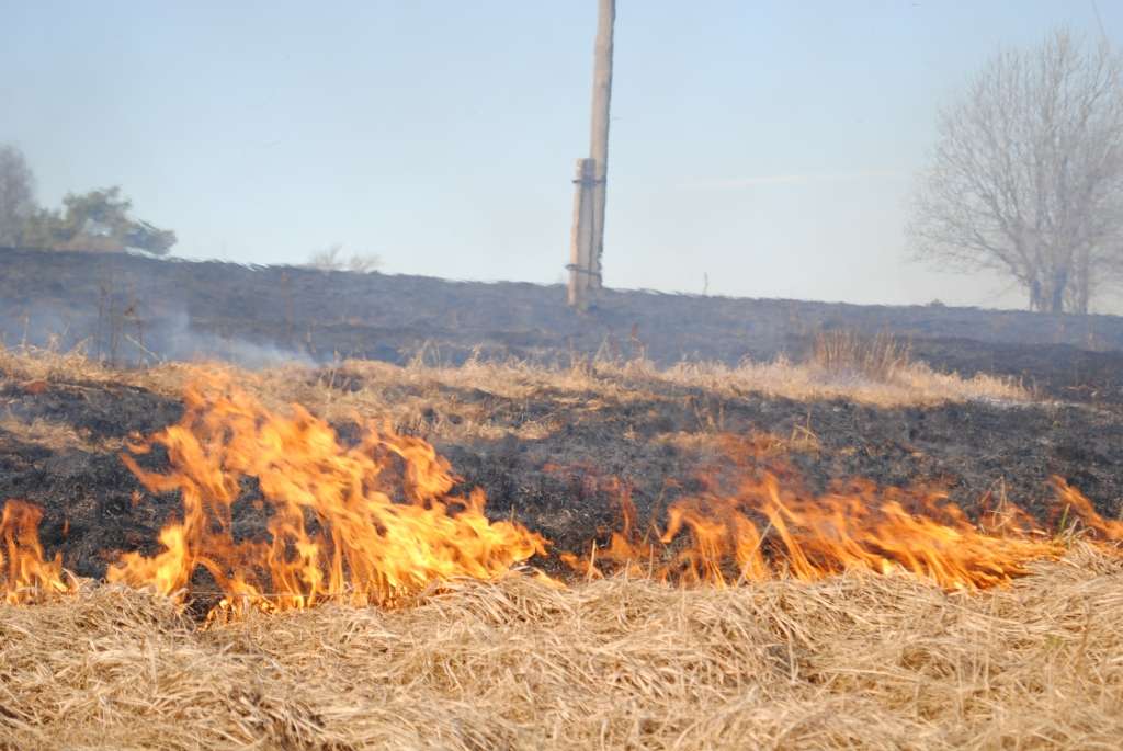 Autors: Sarmīte Ozola