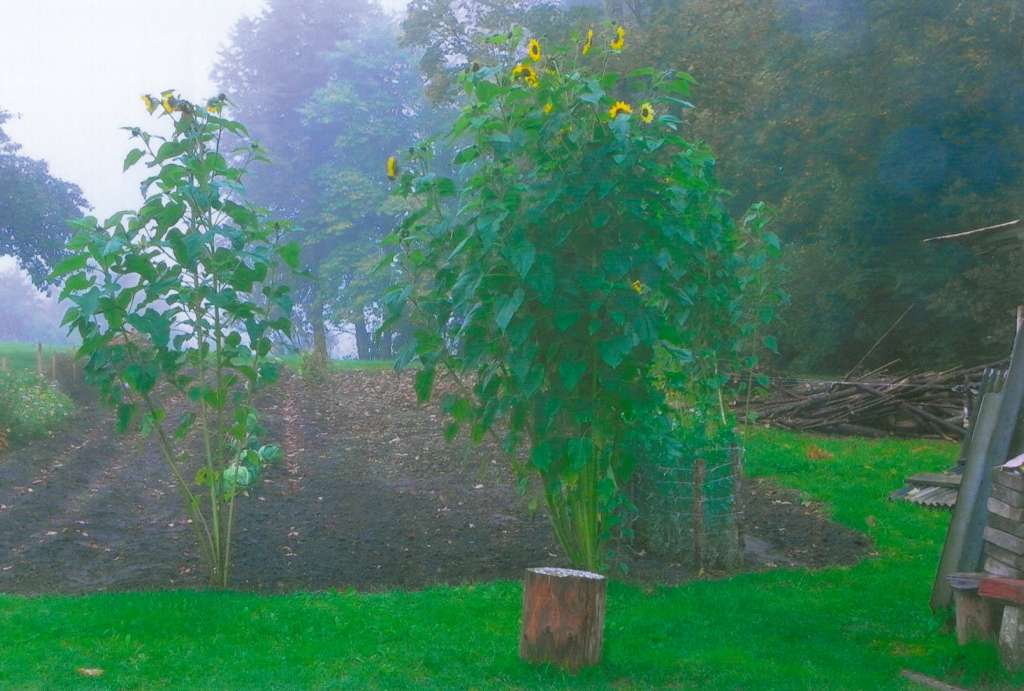 Autors: no personīgā arhīva