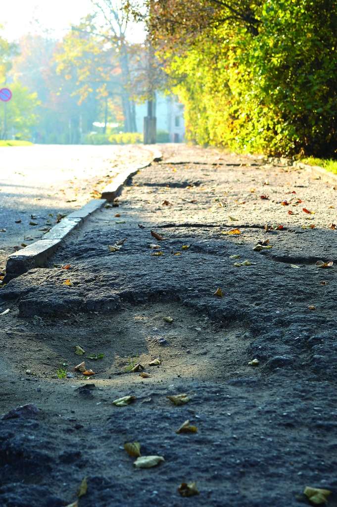 Par bedraino trotuāru Smiltenē, Dakteru ielā, pie ģimnāzijas un slimnīcas jau rakstījām pērn. Tagad pašvaldība saņēmusi arī iedzīvotājas iesniegumu.                                                                                            
Autors:  SANDRA PĒTERSONE