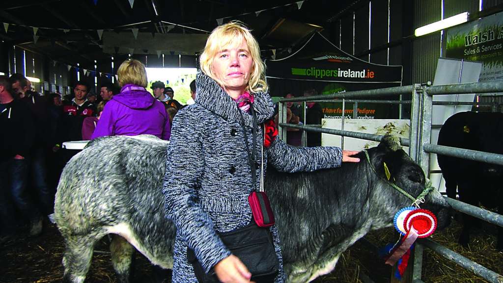 Ineta Namniece no Īrijā redzētajām gaļas liellopu šķirnēm vienu vēlas arī savā saimniecībā.  
 

Autors:  NO INETAS NAMNIECES ARHĪVA